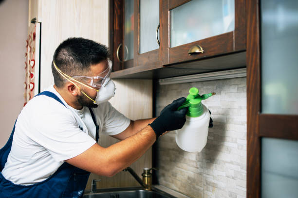 Best Cockroach Control Services  in Thomaston, NY