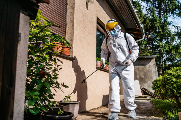 Best Wildlife Control Services  in Thomaston, NY