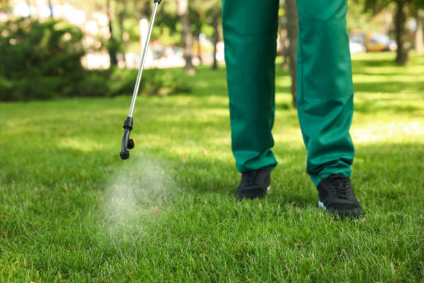 Best Pest Inspection Near Me  in Thomaston, NY